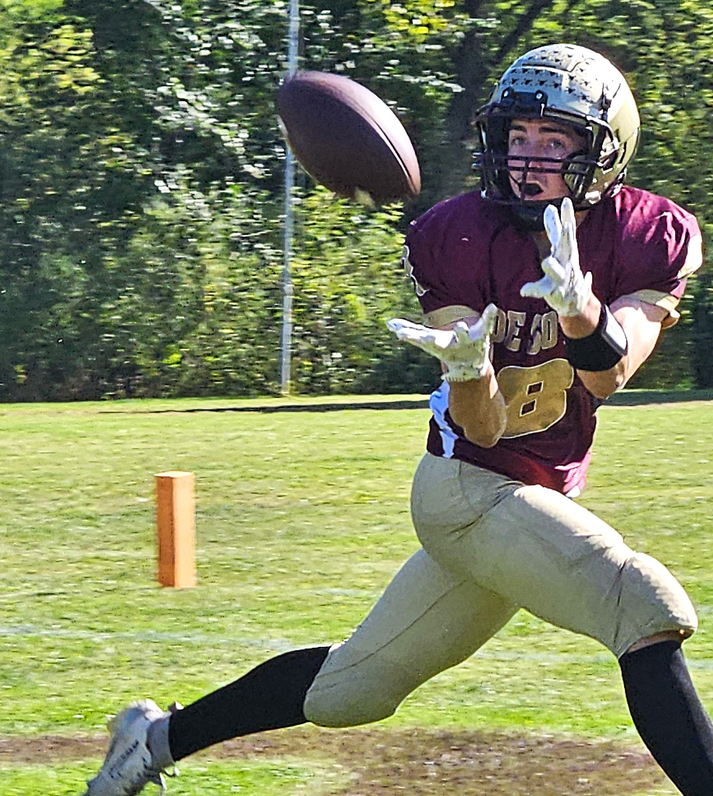 De Soto senior Jackson Trussoni pulls in a pass during a game against Monticello at The Pit. -- TODD SOMMERFELDT PHOTO