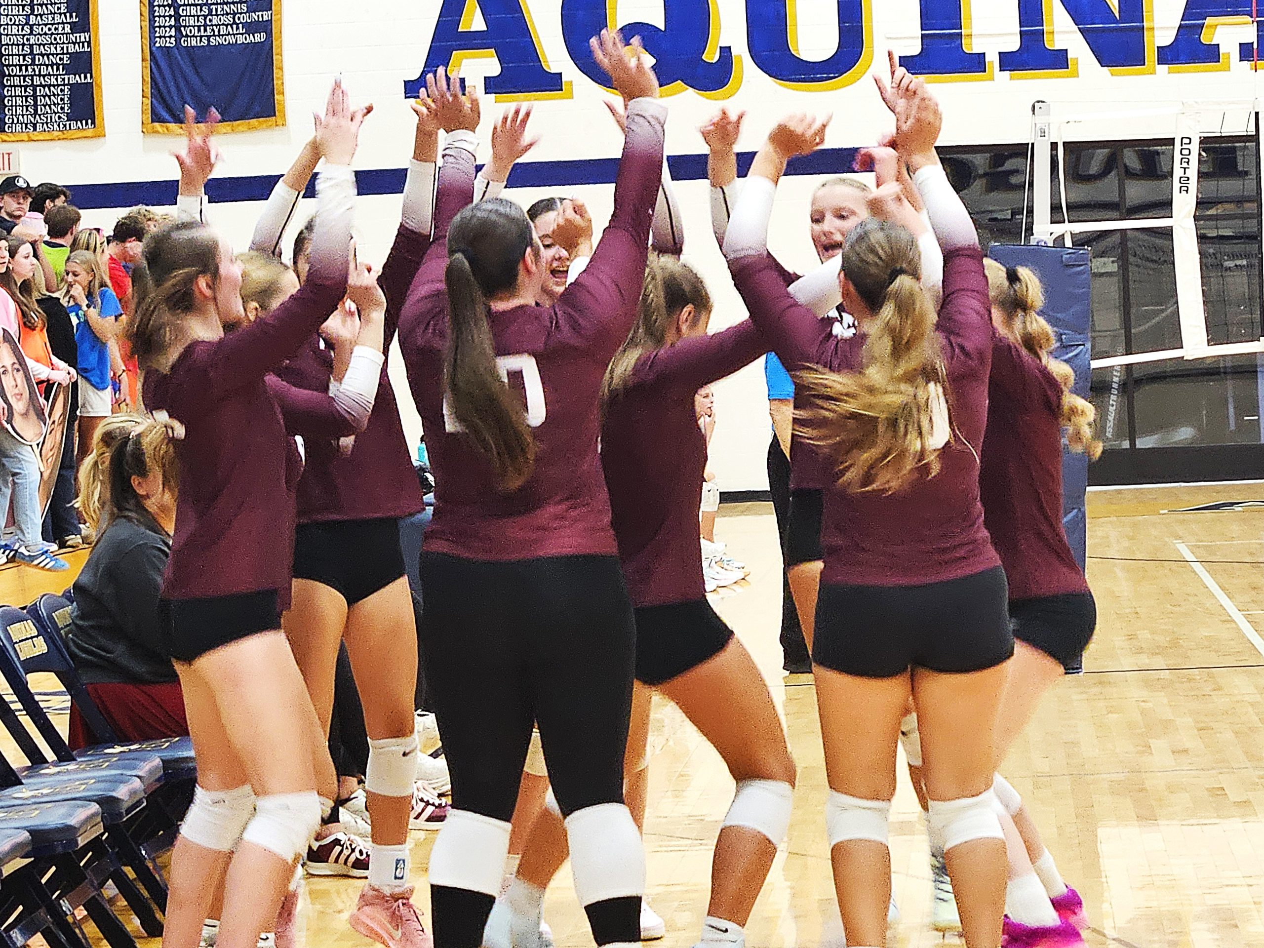 Holmen volleyball players celebrate a point from the bench during Tuesday's MVC victory over Aquinas. -- TODD SOMMERFELDT PHOTO