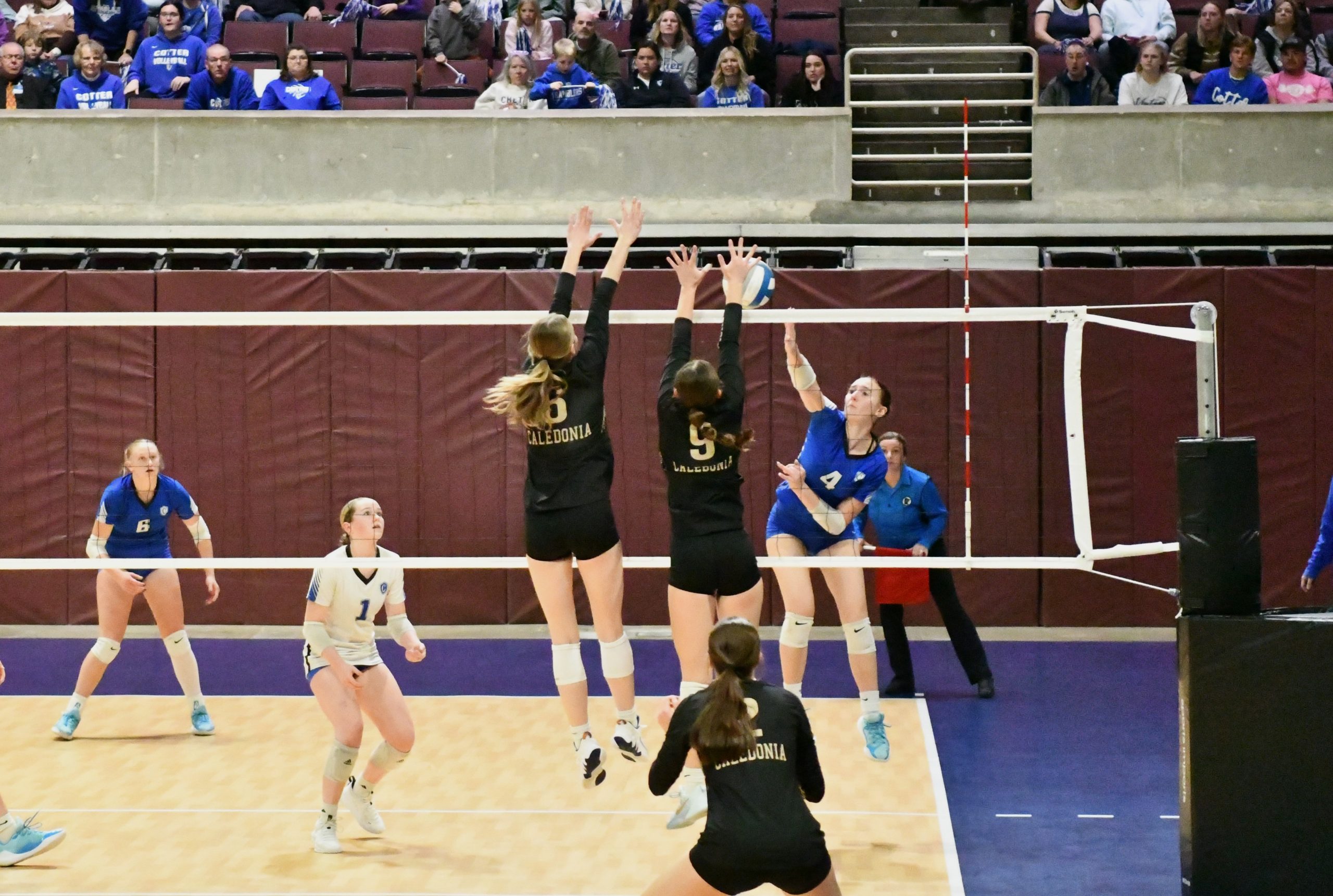 The Caledonia volleyball team beat Winona Cotter in an MSHSL Section 1AA semifinal on Thursday. -- SUBMITTED PHOTO