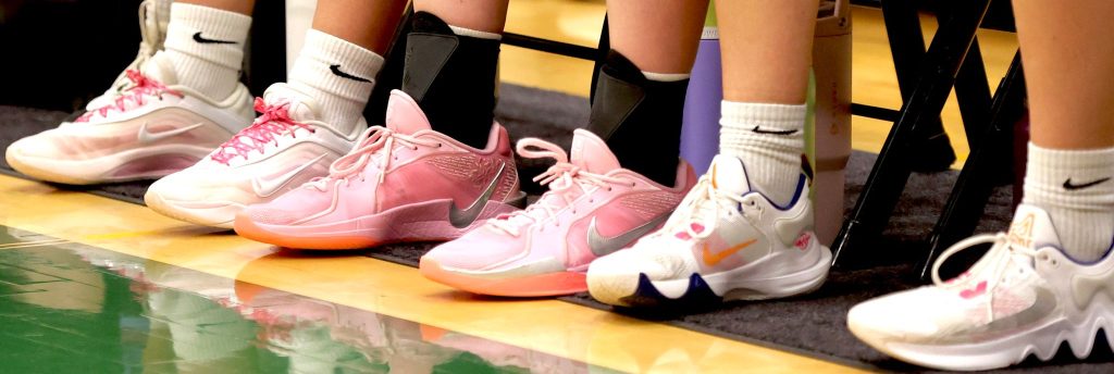 Caledonia girls basketball vs. Rushford-Peterson. -- CRAIG JOHNSON PHOTO