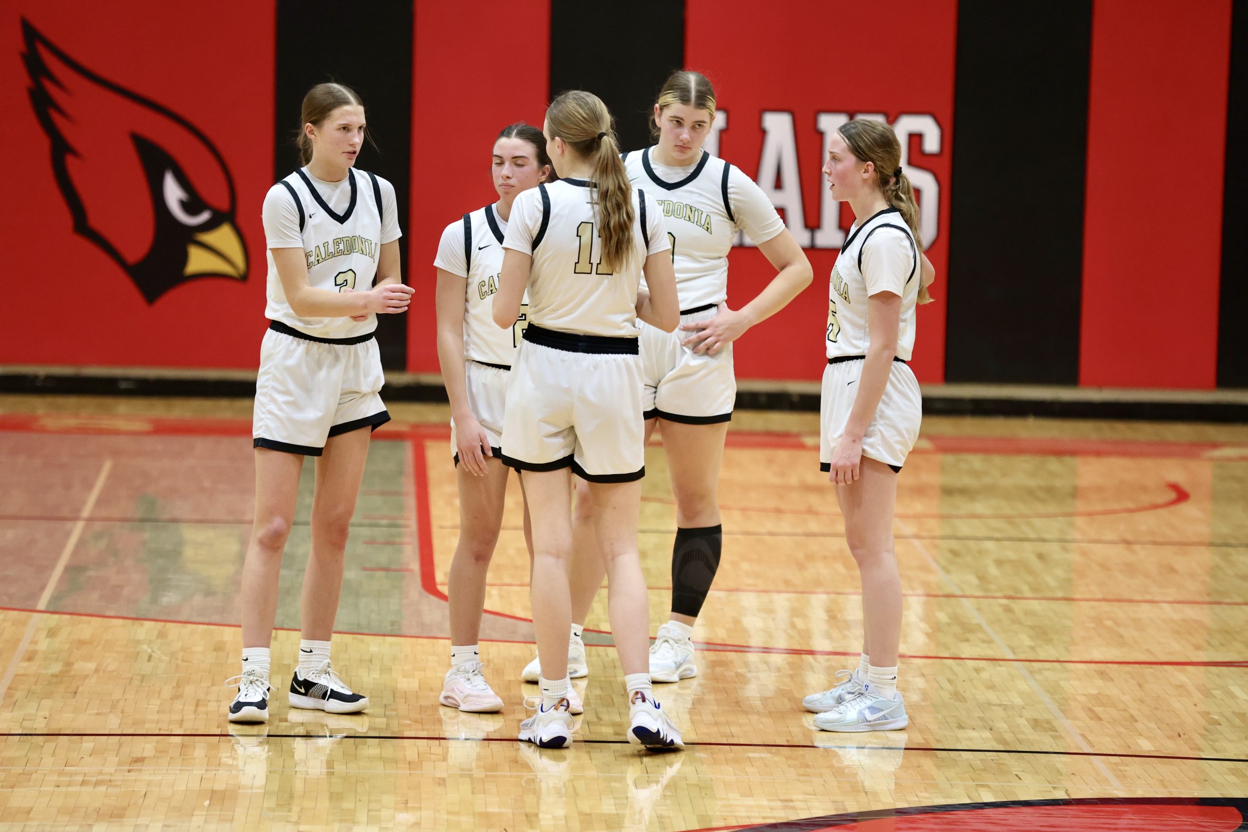 Caledonia vs. Lewiston-Altura girls basketball. -- CRAIG JOHNSON PHOTO