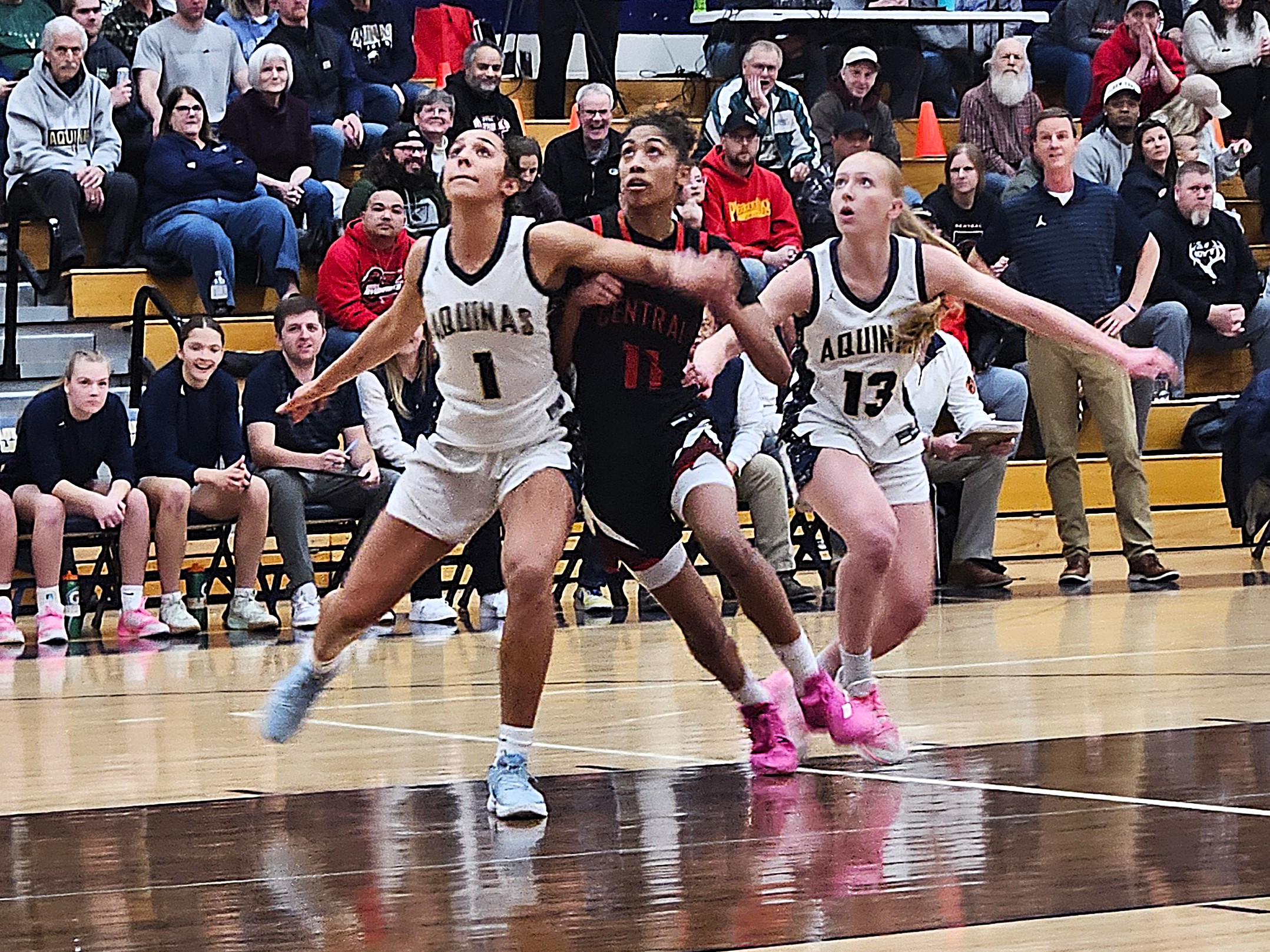 Aquinas senior Sammy Davis boxes out Central's Alahnna Simpson during a shot attempt at the Reinhart Athletic Complex. -- TODD SOMMERFELDT PHOTO