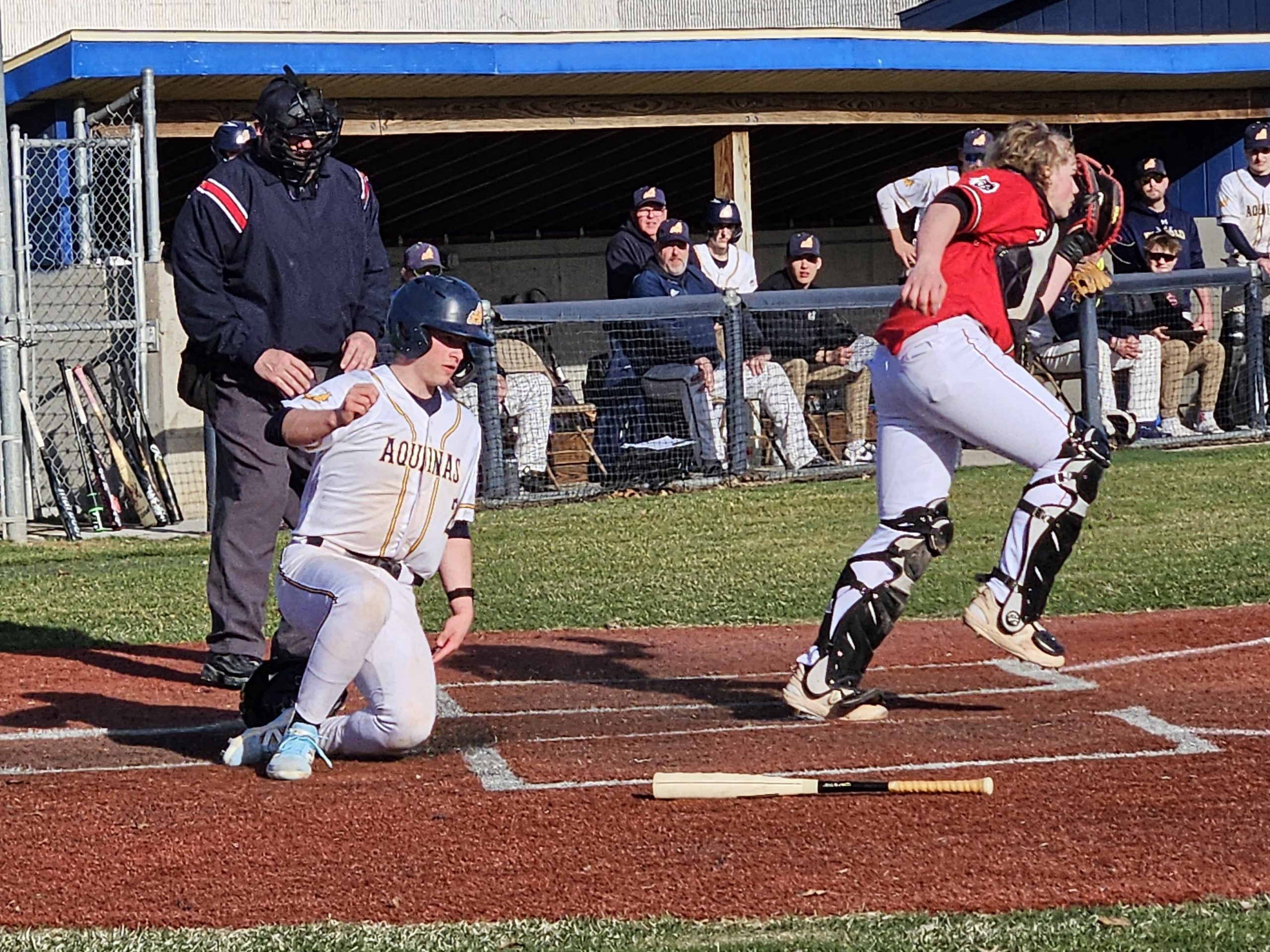 Aquinas junior Jonny Deets pops up afetr scoring run during a 16-1 baseball victory over Arcadia on Tuesday. -- TODD SOMMERFELDT PHOTO