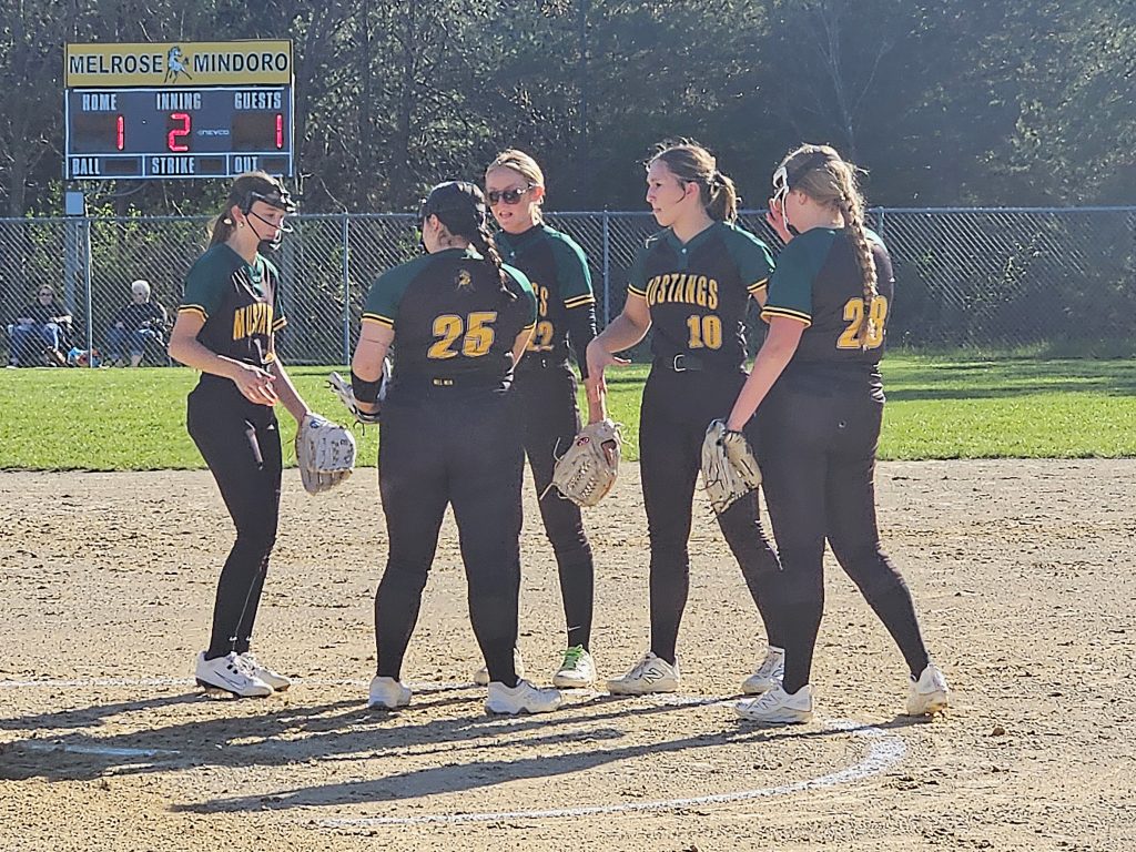 Players from the Melrose-Mindoro softball team talk before the beginning of an inning. -- TODD SOMMERFELDT PHOTO